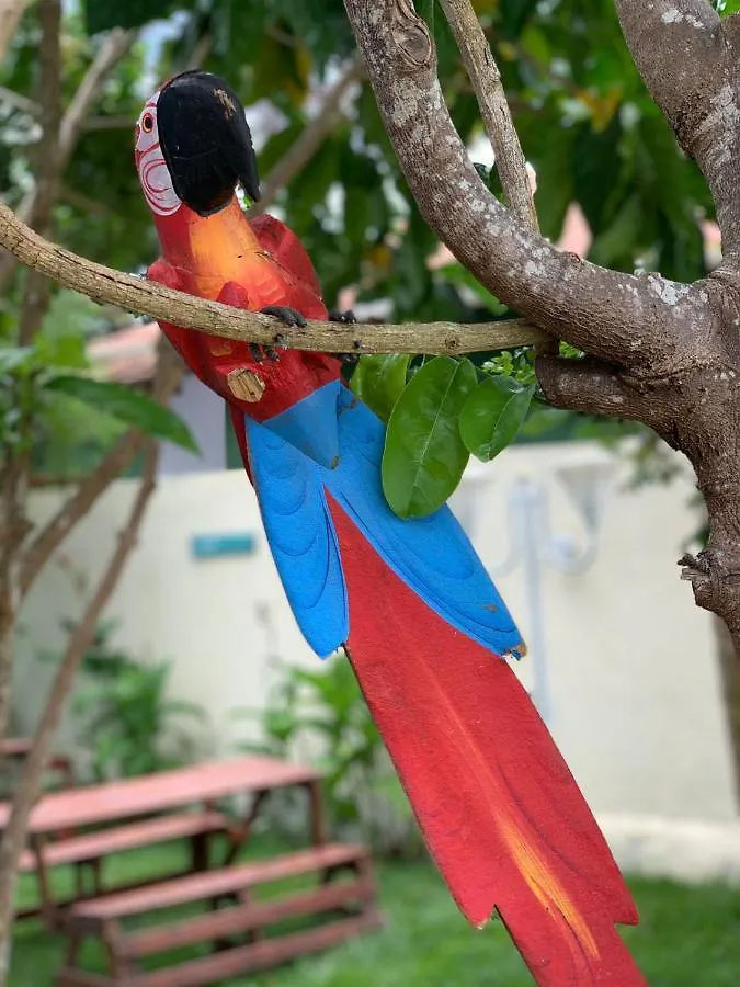 Pousada Canto De Paz Arraial Dajuda Brazylia